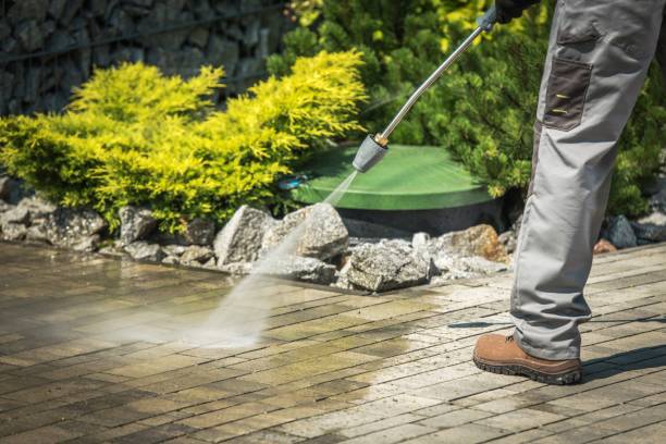 Best Boat and Dock Cleaning  in Richmond, IL